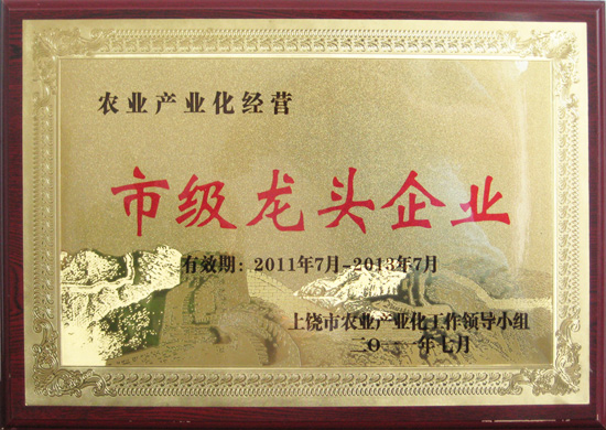 市级龙头企业